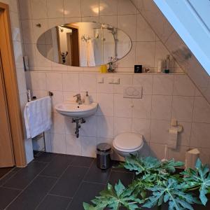 uma casa de banho com um lavatório, um WC e um espelho. em Messe Zimmer Hannover em Hanôver