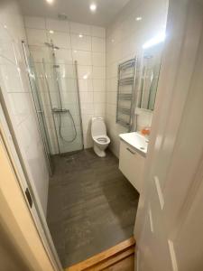 a bathroom with a shower and a toilet and a sink at Modern Apartment In Lovely Part Of The City in Gothenburg