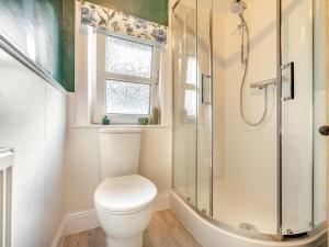 a bathroom with a toilet and a shower at 3 Bed in Keswick 89526 in Keswick