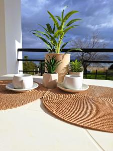 A balcony or terrace at Ever Green beach Apartments