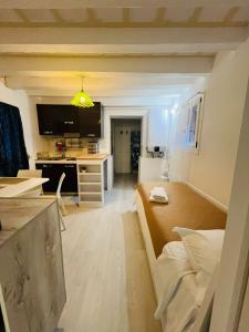 ヴェネツィアにあるAntico Fiore Apartmentsのリビングルーム、キッチン(ソファ、テーブル付)