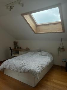 a bedroom with a bed with a large skylight at Huset på berget in Saint-Nizier-du-Moucherotte