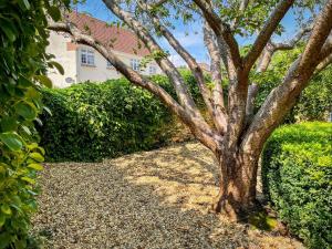 a tree in front of a house with bushes at The Apple Loft at Jordan House in Weymouth