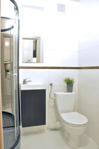 a bathroom with a toilet and a sink at Nice and comfy studio close to Old town and metro. in Warsaw