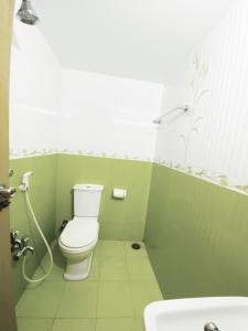 a green bathroom with a toilet and a sink at Amazing Apartment in Bashundhara in Dhaka