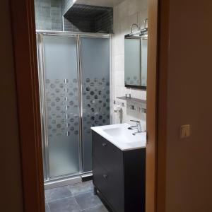 a bathroom with a shower and a sink at VUT Casa abuela Antonia in El Barco de Ávila