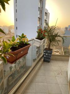 un balcone con piante in vaso su un edificio di Apt De Luxe Gallo 2 - Mamelles Dakar a Dakar