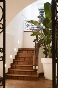a staircase in a house with a plant at ALBERGO DIFFUSO ROSSI DIMORA Di CHARME in Turi