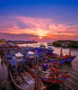 a group of boats docked in the water at sunset at Comfort Stay Kuala Perlis Wi-Fi Nexflix in Kuala Perlis