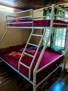 Двухъярусная кровать или двухъярусные кровати в номере Casspo bunk bed