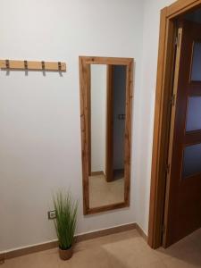 Fotografie z fotogalerie ubytování Apartamentos Clavero 10 v destinaci Plasencia