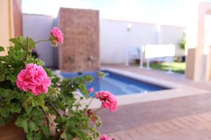 eine Topfpflanze mit rosa Blumen neben einem Pool in der Unterkunft La casita de Toledo, cerca de Puy Du Fou in Barcience