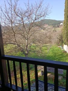 d'un balcon avec vue sur un arbre. dans l'établissement CASA DA RIBEIRA, à Quiroga