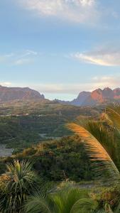 a view of a valley with mountains and palm trees at RIVERVIEW in Saint-Pierre