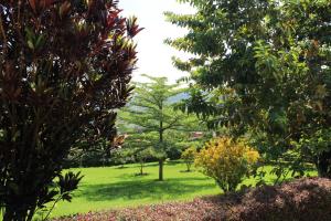 Ein Garten an der Unterkunft REBERO RESORT Ltd