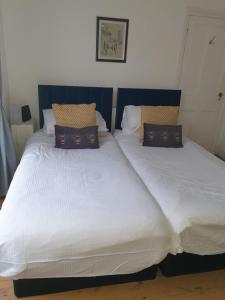 dos camas sentadas una al lado de la otra en un dormitorio en Mulberry House Excellent central location Courtyard garden 3 Bedrooms sleeps up to 6 Parking en Exeter