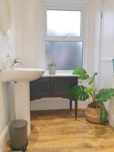 a bathroom with a sink and a window and a plant at Mulberry House Excellent central location Courtyard garden 3 Bedrooms sleeps up to 6 Parking in Exeter