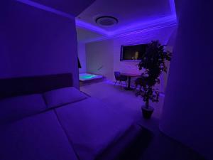 a purple room with a couch and a potted plant at me and SPA in Düsseldorf