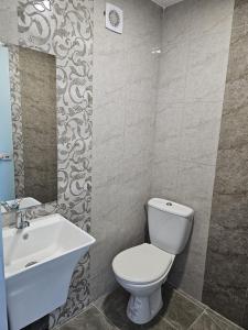 a bathroom with a white toilet and a sink at Zack Apartments in Murfatlar