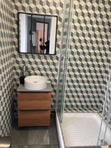 a bathroom with a shower and a sink and a mirror at Apt 2 pièces Cosy Le Rimbaud in Charleville-Mézières
