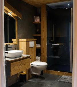 a bathroom with a toilet and a sink and a shower at Ambiance montagne, à deux pas de la gare in Cluses