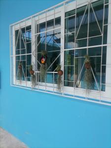 une fenêtre d'un immeuble de bureaux avec des plantes en pot dans l'établissement Baan KaemSai, à Khao Lak