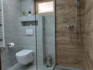 a bathroom with a toilet and a shower at Villa Iva in Rakovica