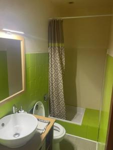 bagno verde con lavandino e servizi igienici di Résidence des Igues a Compolibat