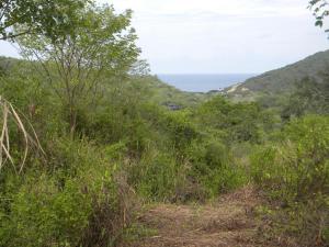 a hillside with grass and the ocean in the background at Centro Vacacional RECREASANA in Puerto López
