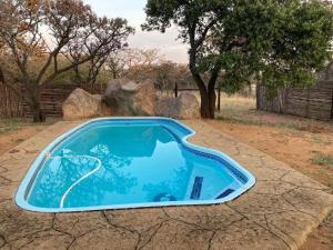 a blue swimming pool in the middle of a yard at Moletani Game Ranch in Kareefontein