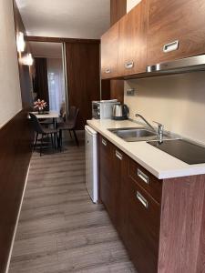 Küche/Küchenzeile in der Unterkunft Apartmány Teddy Bojnice