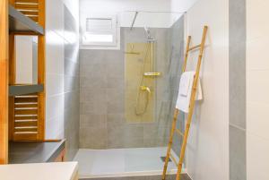 a bathroom with a shower with a ladder in it at La maison créole in Rivière-Pilote