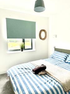 Легло или легла в стая в Rye Brand New Apartment
