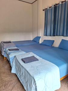 two beds in a room with blue pillows at Chom Suan Farmstay in Ko Kood