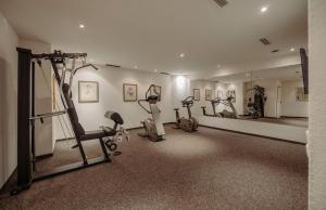 Fitness centrum a/nebo fitness zařízení v ubytování Hotel Lerch