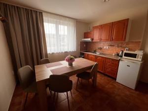 Küche/Küchenzeile in der Unterkunft Apartmány Teddy Bojnice