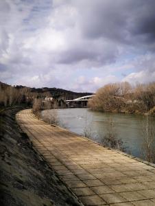 a river with a bridge in the background at Vista sul Tevere in Rome