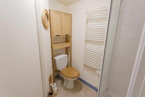 un piccolo bagno con servizi igienici e doccia di Charmant duplex a Vannes