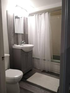 een badkamer met een toilet, een wastafel en een douche bij Comfortable 2-bedroom, private kitchen and bathroom in Montreal