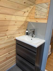 a bathroom with a sink and a wooden wall at Bonny Wee Snug - Pod in Spean Bridge in Spean Bridge