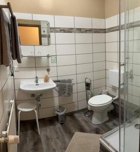 een badkamer met een toilet en een wastafel bij Pension Krahmer in Chemnitz