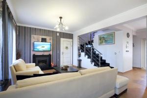 a living room with a couch and a fireplace at Cozy family home in Katouna in Katouna