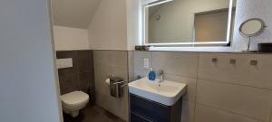 a bathroom with a sink and a toilet and a mirror at Hotel Kalenborner Höhe in Kalenborn