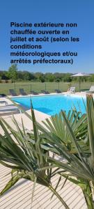 una pianta seduta accanto alla piscina di Villa Bellagio Amboise by Popinns a Amboise