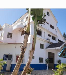 een palmboom voor een wit gebouw bij #4 princess self catering apartments, Senegambia area in Sere Kunda
