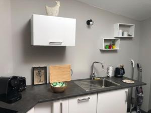 eine Küche mit einer Spüle und einer Arbeitsplatte in der Unterkunft Nuits centre : superbe gîte rénové et climatisé in Nuits-Saint-Georges