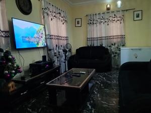 salon z kanapą i telewizorem w obiekcie Treasure apartment w mieście Lagos