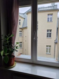 a window with a plant sitting on a window sill at C M Centrum II in Poznań