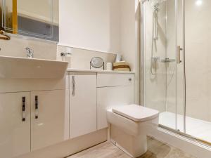 a white bathroom with a toilet and a shower at 2 Bed in Usk 87948 in Trostrey