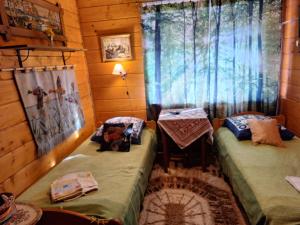 a room with two twin beds in a cabin at Dom Gościnny Dudek in Krynica Zdrój